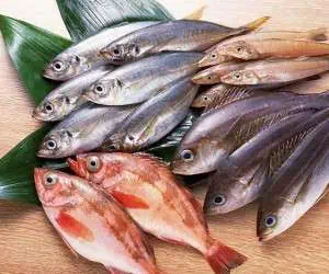 چگونه بفهمیم ماهی تازه است