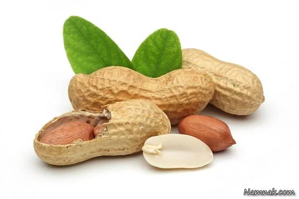 شیک پروتئین 