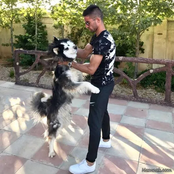 زندگی میلاد محمدی