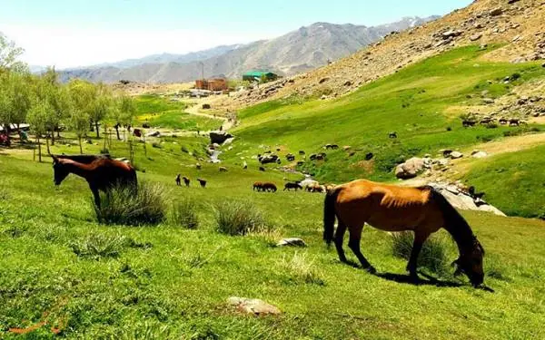 دشت میشان 