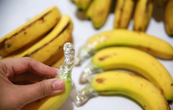 روش نگهداری موز کال