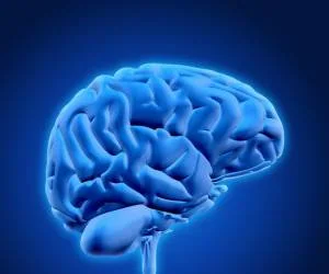 بزرگترین مغز