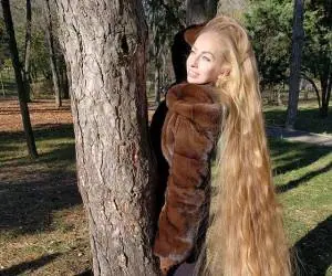 گیسو کمند