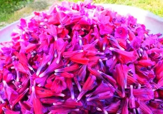 عوارض گل گاوزبان