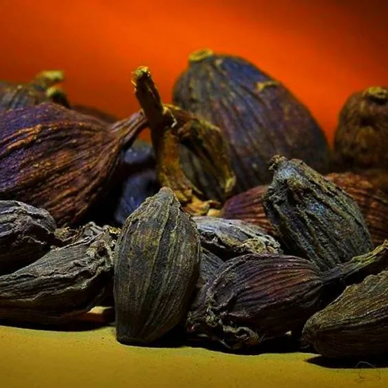 عوارض هلیله سیاه