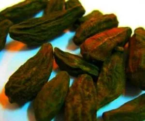 خواص هلیله سیاه