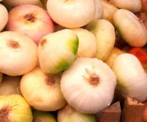 خواص موسیر