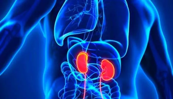 اختلال عملکرد کلیه 