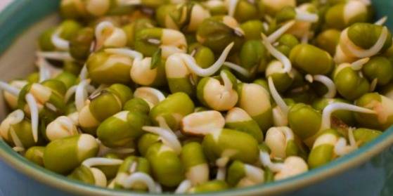آیا میدانید خواص ماش چیست