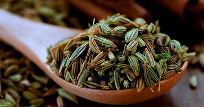 عرق رازيانه براي كم خوني