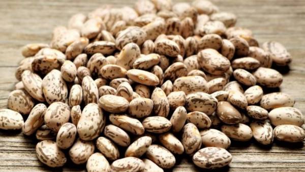 تمام عوارض لوبیا و مضرات لوبیا خواص مصرف لوبیا