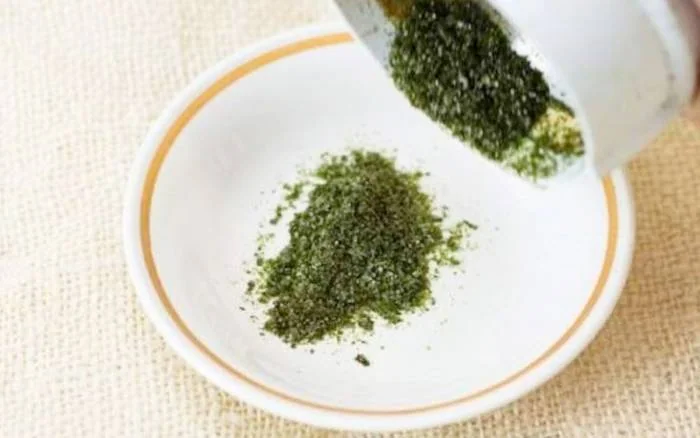 ماسک جلبک دریایی