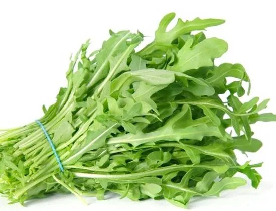 خواص آروگولا