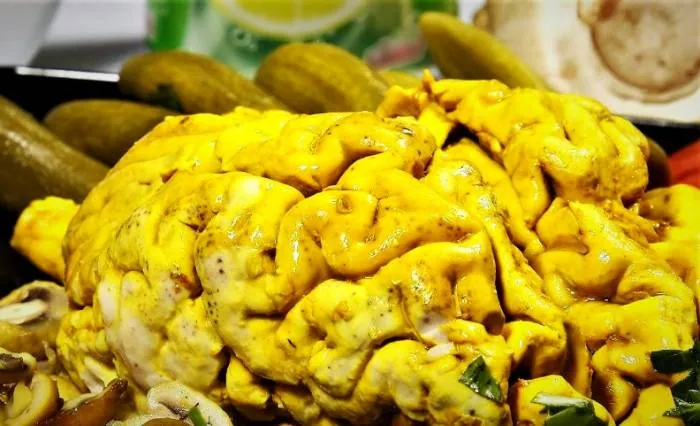 فواید مغز