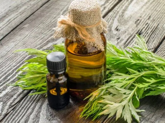 روغن افسنطین