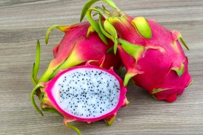 خواص میوه اژدها