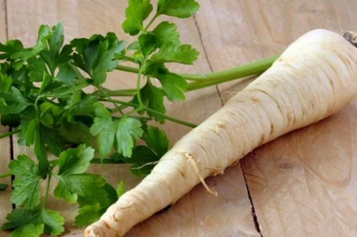 ترب کوهی برای لاغری