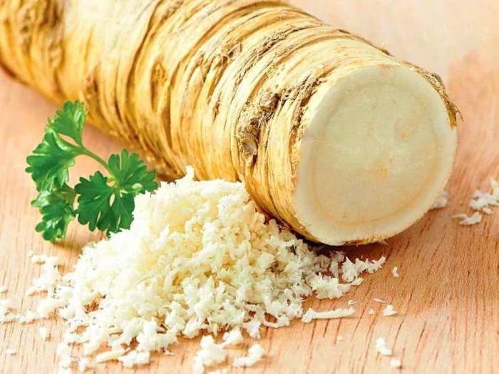 ترب در بارداری