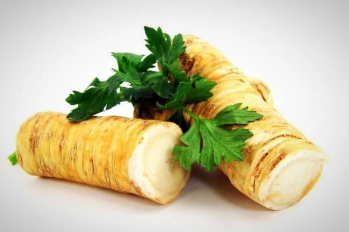 فواید ترب کوهی