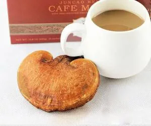 قهوه گانودرما