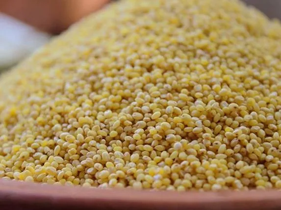ارزن برای دیابت
