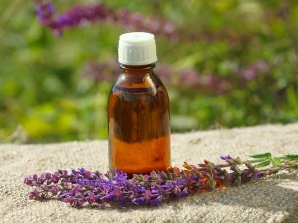 روغن مریم گلی