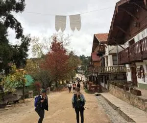 شهر بدون خودرو