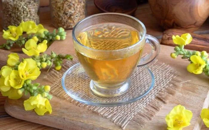 خواص خرگوشک