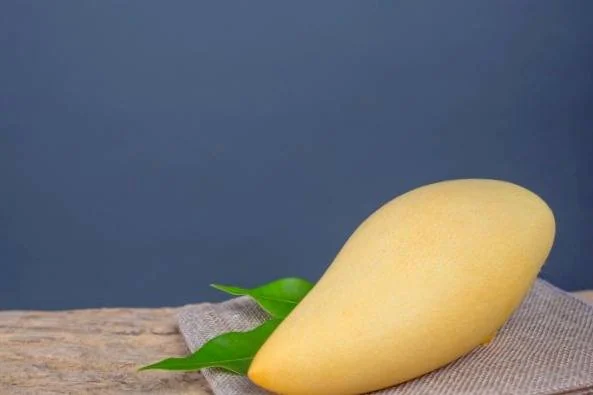 روغن هسته انبه