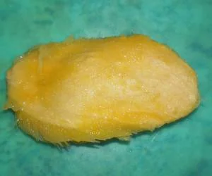 روغن هسته انبه