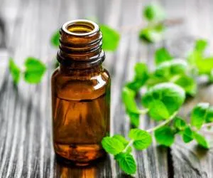 روغن پونه