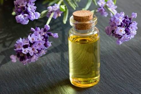 روغن لاوندر