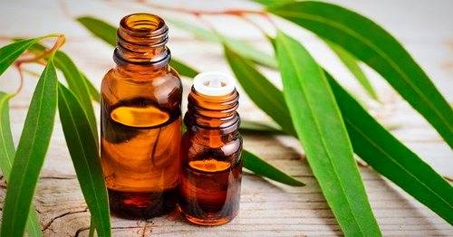 روغن اکالیپتوس
