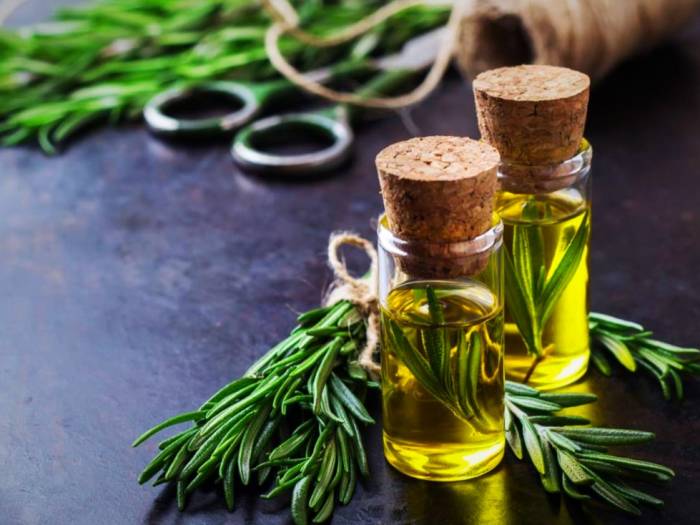 روغن رزماری