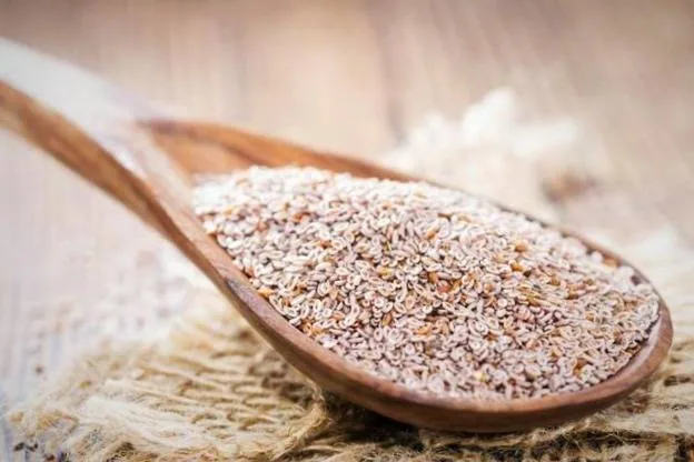 گیاه اسفرزه