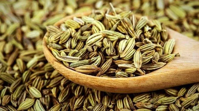 روغن زیره سبز