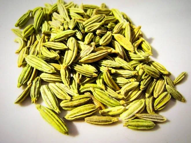 موارد منع مصرف زیره سبز