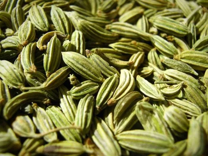 زیره سبز در لاغری