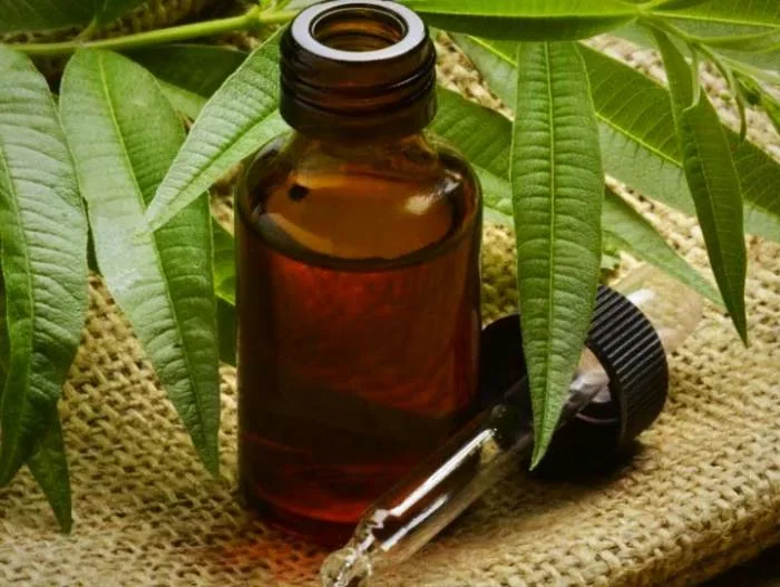 روغن درخت چای