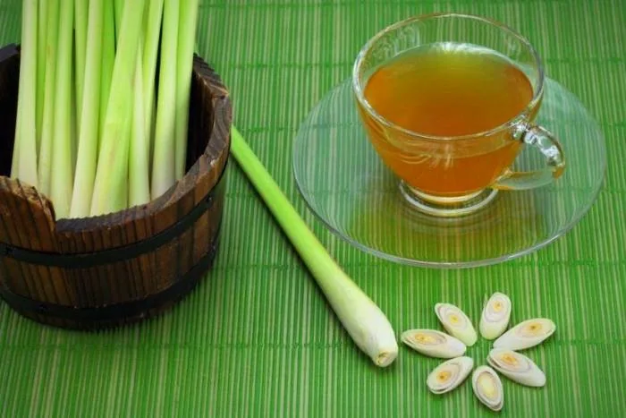 دمنوش علف لیمو