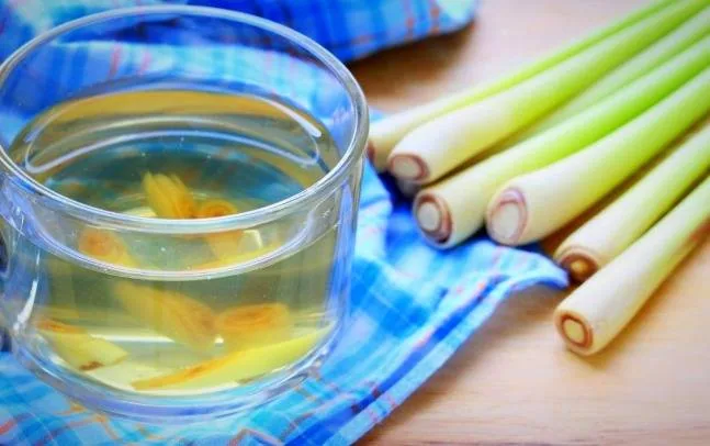 چای علف لیمو