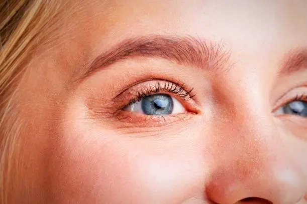 کلم برای دستگاه گوارش