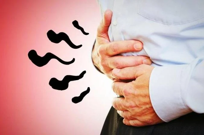 تفاوت سیبو با آی بی اس