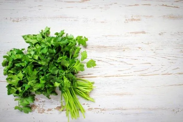 سبزی جعفری حاوی ویتامین e است سبزی جعفری