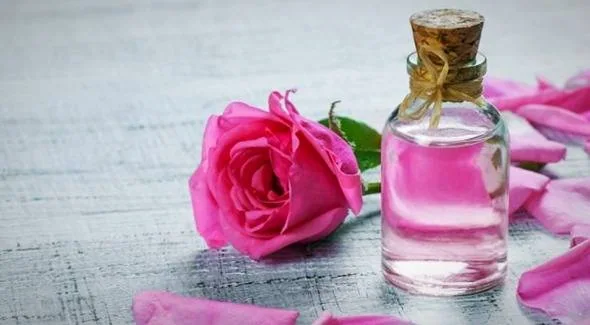 استفاده از گلاب