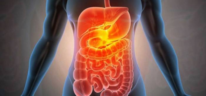 ضد عفونی روده 