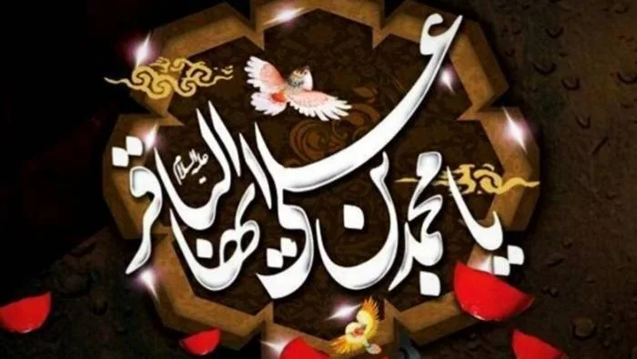 پیام برای امام باقر