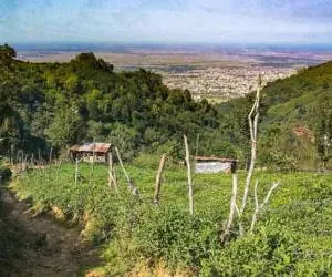 لیلا کوه