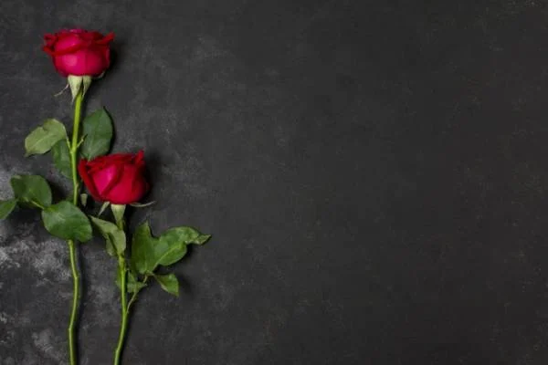 تک بیتی عاشقانه