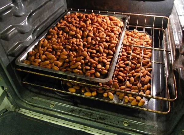 بو دادن آجیل